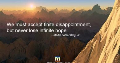 Martin Luther King, Jr. Quotes on Disappointment and Hope