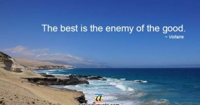 Voltaire Quotes on Enemy of the Good