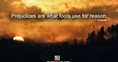Voltaire Quotes on Prejudices and Fools