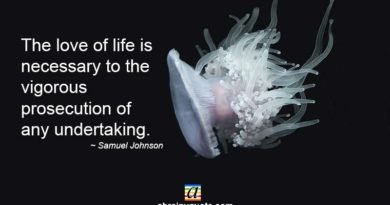 Samuel Johnson Quotes on the Love of Life