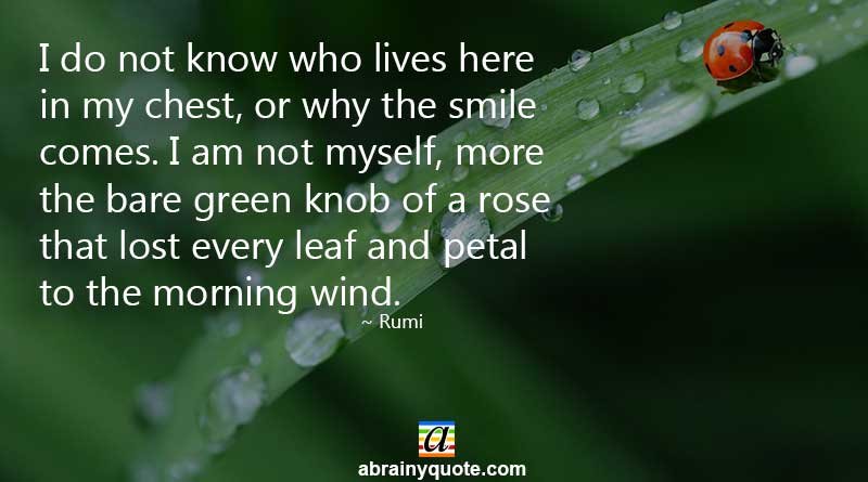 Rumi Quotes on the Leaf and Morning Wind
