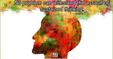 Voltaire Quotes on Sustained Thinking