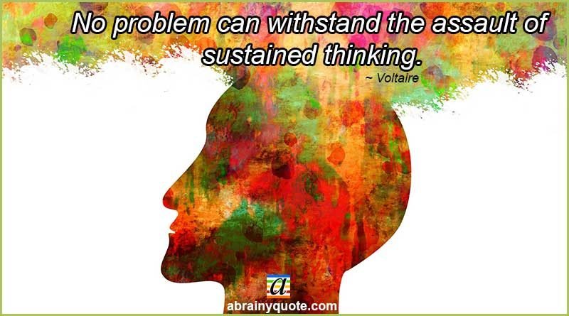 Voltaire Quotes on Sustained Thinking