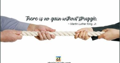 Martin Luther King, Jr. Quotes on Struggle and Gain