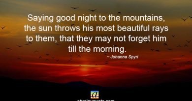Johanna Spyri Quotes on Good Night and Morning