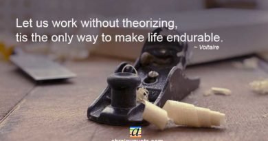 Voltaire Quotes on Work Without Theorizing