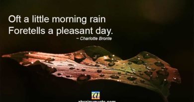 Charlotte Bronte Quotes on a Little Morning Rain