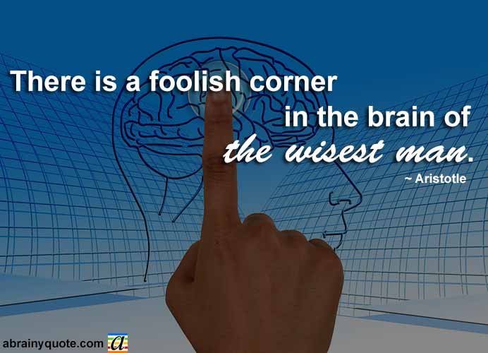 Aristotle Quotes on the Brain of the Wisest Man
