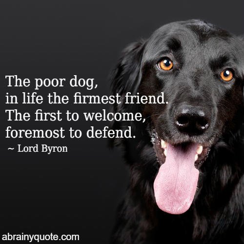 Lord Byron Quotes on Pet and Friendship