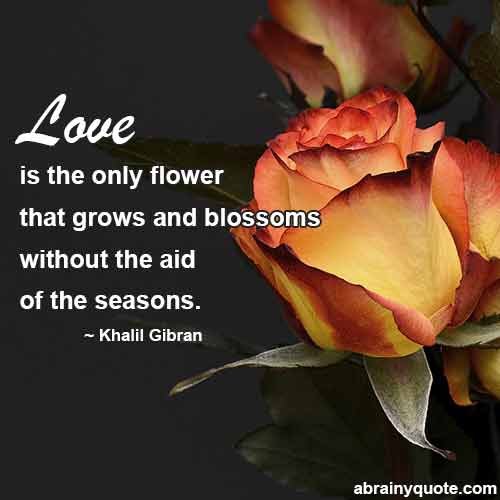 Khalil Gibran Quotes on Love is the Only Flower