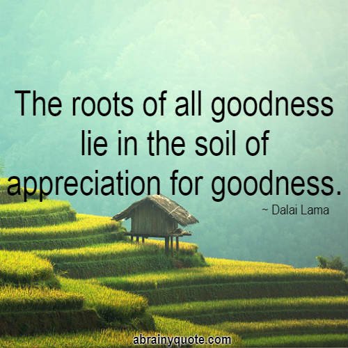 Dalai Lama Quotes on Appreciation for Goodness
