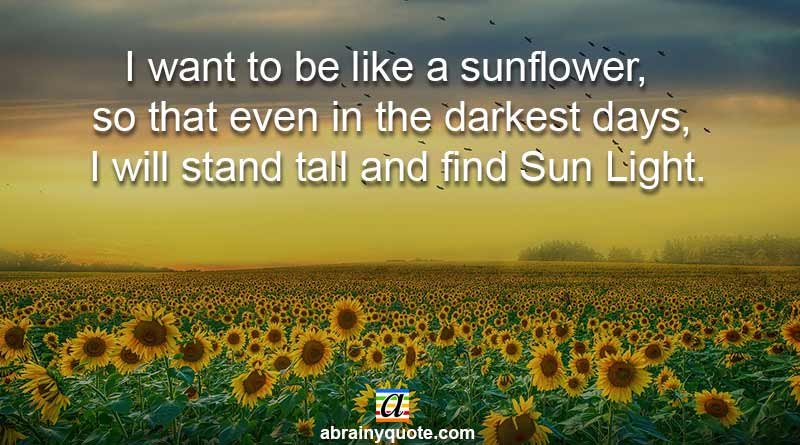 Sunflower Quotes on to Overcome Your Darkest Days