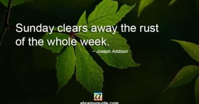 Sunday Quotes on Rust of the Whole Week