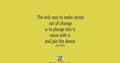 Alan Watts Quotes on Join the Dance