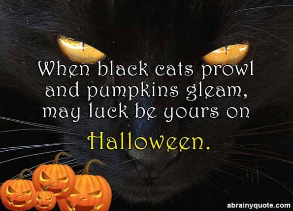 What Will Happen When Black Cats Prowl this Halloween?