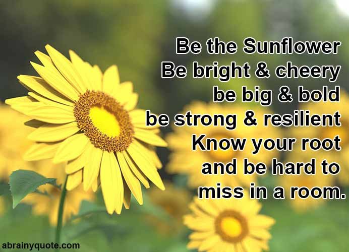 How Do You Become Like a Bright Sunflower in Life?