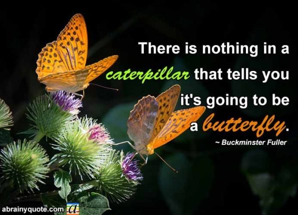 Buckminster Fuller on a Caterpillar Turning into a Butterfly - abrainyquote