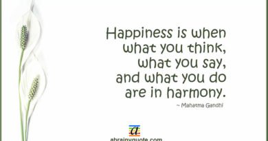 Mahatma Gandhi Quotes on Happiness and Harmony