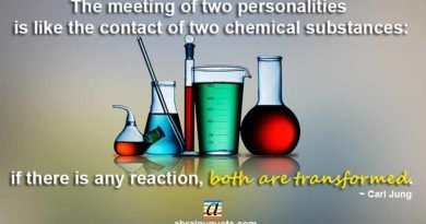 Carl Jung on Reaction Between Two Chemical Substances