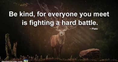 Plato Quotes on Fighting a Hard Battle