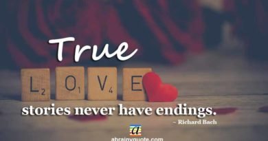 Richard Bach Quotes on True Love Stories