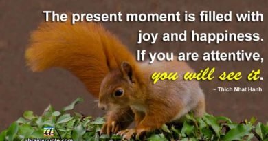 Thich Nhat Hanh Quotes on the Present Moment
