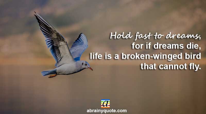 Langston Hughes Quotes on Broken-Winged Bird
