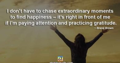 Brené Brown Quotes on Chasing Extraordinary Moments