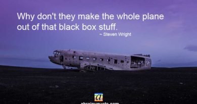 Steven Wright Quotes on the Plane’s Black Box