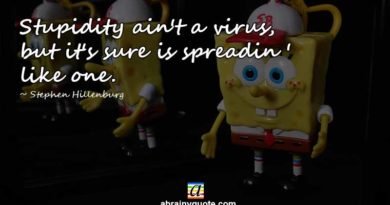 Stephen Hillenburg Quotes on the Facts of Stupidity