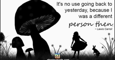 Alice in Wonderland Quotes on a Different Person