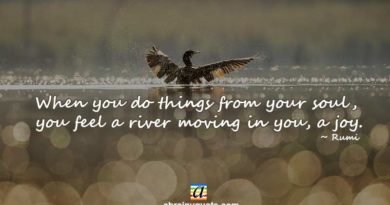 Rumi Quotes on Doing Things From Your Soul