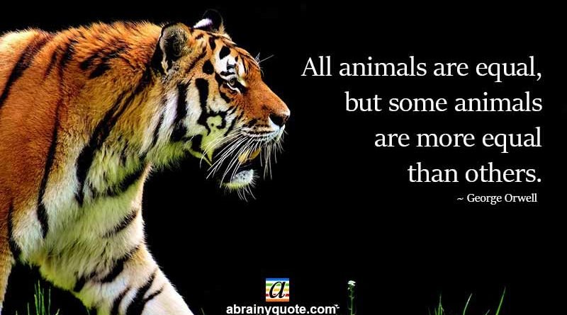 George Orwell Quotes on Animals and Equality