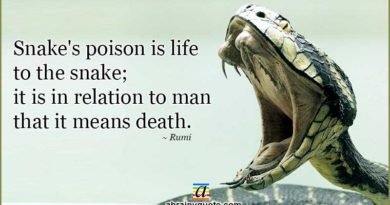 Rumi Quotes on Snake's Poison and Death