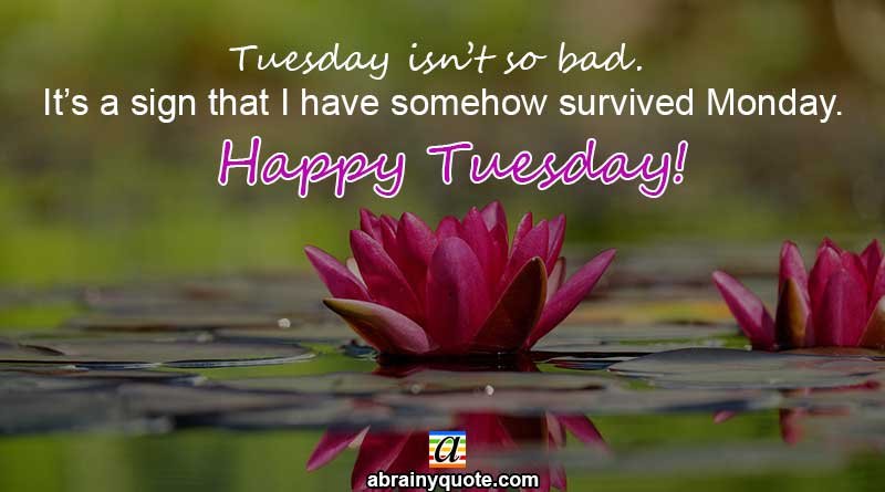 Tuesday Quotes on Having Survived Monday