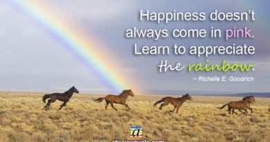 Richelle E. Goodrich Quotes on Happiness and Rainbow