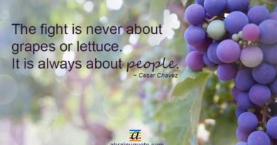 Cesar Chavez Quotes on Grapes, Lettuce and People