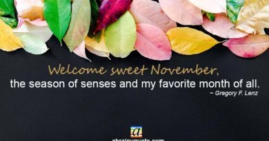 Gregory F. Lenz Quotes on Sweet November