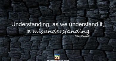 Elias Canetti Quotes on Misunderstanding