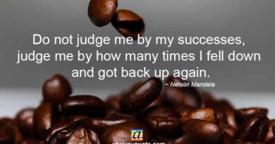 Nelson Mandela Quotes on Successes and Failures