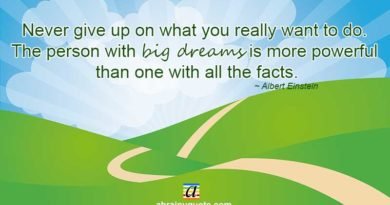 Albert Einstein Quotes on Big Dreams and More Power