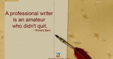 Richard Bach Quotes on a Professional Writer