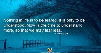 Marie Curie Quotes on the Time to Understand