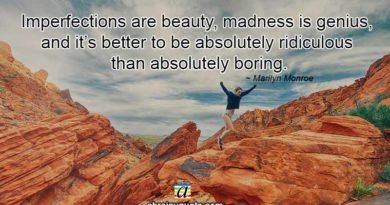 Marilyn Monroe Quotes on Imperfections and Madness