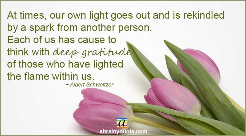 Albert Schweitzer Quotes on Expressing Deep Gratitude