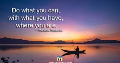 Theodore Roosevelt Quotes on Do What You Can