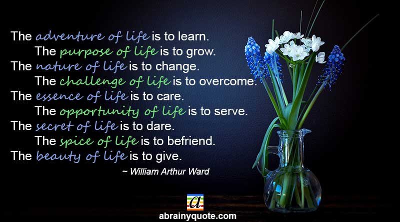 William Arthur Ward Quotes on Adventure of Life