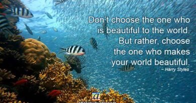Harry Styles Quotes on Choosing a Beautiful World