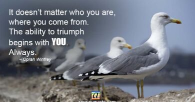 Encouraging Quotes on Ability to Triumph