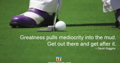 David Goggins Quotes on Greatness and Mediocrity